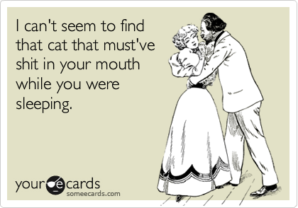 I can't seem to find
that cat that must've
shit in your mouth
while you were
sleeping.