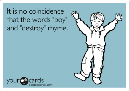 It is no coincidence
that the words "boy"
and "destroy" rhyme.