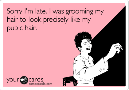 Sorry I'm late. I was grooming my hair to look precisely like my
pubic hair.