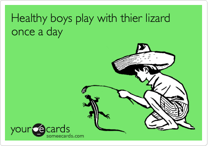 Healthy boys play with thier lizard once a day