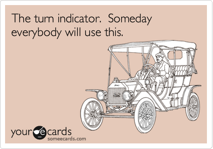 The turn indicator.  Someday everybody will use this.