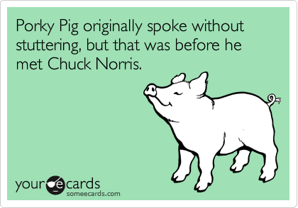Porky Pig originally spoke without stuttering, but that was before he met Chuck Norris.