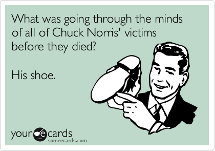 What was going through the minds of all of Chuck Norris' victims before they died? 

His shoe.