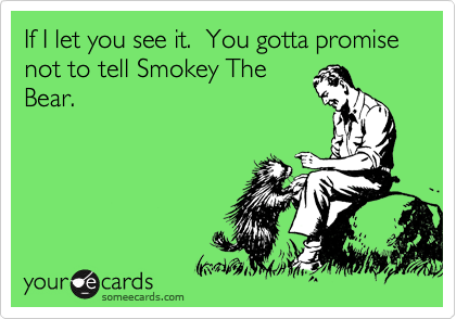 If I let you see it.  You gotta promise not to tell Smokey The
Bear. 