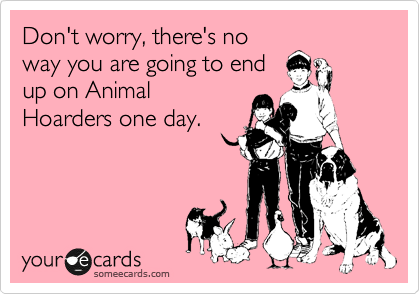 Don't worry, there's no
way you are going to end
up on Animal
Hoarders one day.