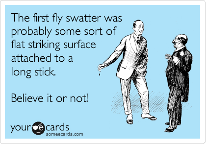 The first fly swatter was
probably some sort of
flat striking surface
attached to a
long stick.

Believe it or not!