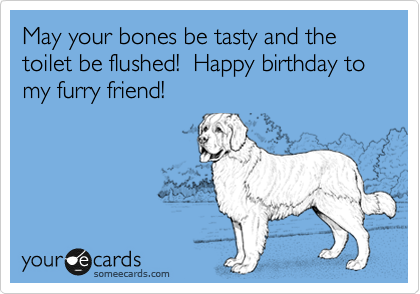 May your bones be tasty and the toilet be flushed!  Happy birthday to my furry friend!  