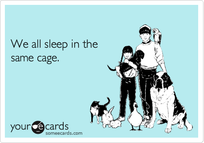 

We all sleep in the 
same cage.