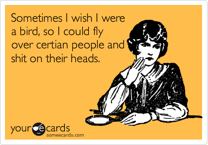 Sometimes I wish I were
a bird, so I could fly
over certian people and
shit on their heads.