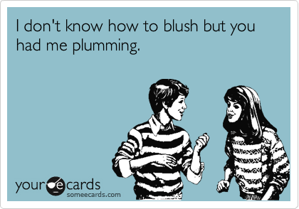I don't know how to blush but you had me plumming. 