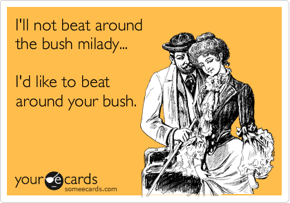 I'll not beat around
the bush milady...

I'd like to beat
around your bush.