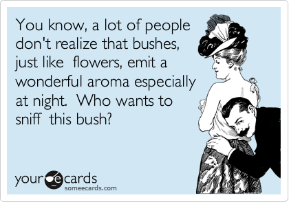 You know, a lot of people
don't realize that bushes,
just like  flowers, emit a
wonderful aroma especially
at night.  Who wants to
sniff  this bush? 