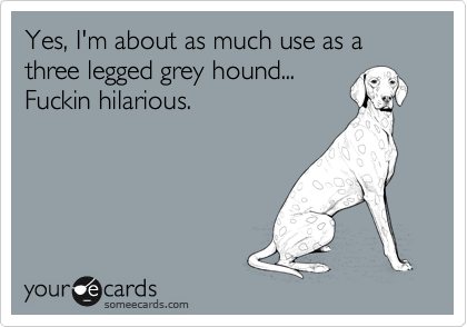 Yes, I'm about as much use as a three legged grey hound...
Fuckin hilarious.
