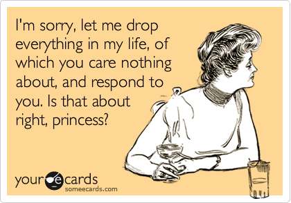 I'm sorry, let me drop
everything in my life, of
which you care nothing
about, and respond to
you. Is that about
right, princess? 