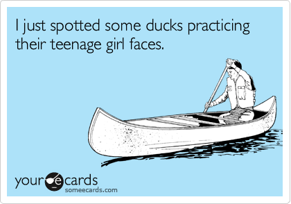 I just spotted some ducks practicing their teenage girl faces.