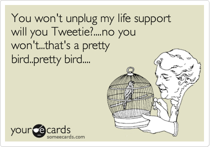 You won't unplug my life support will you Tweetie?....no you won't...that's a pretty
bird..pretty bird....