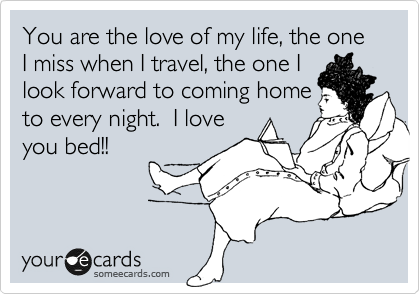 You are the love of my life, the one I miss when I travel, the one I
look forward to coming home
to every night.  I love
you bed!!