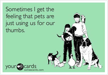 Sometimes I get the 
feeling that pets are 
just using us for our
thumbs.