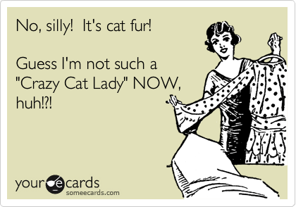 No, silly!  It's cat fur!

Guess I'm not such a
"Crazy Cat Lady" NOW,
huh!?!