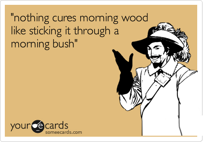 "nothing cures morning wood
like sticking it through a
morning bush"