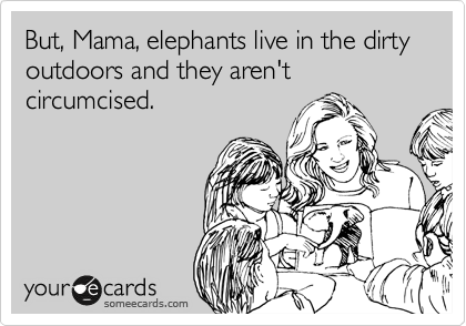 But, Mama, elephants live in the dirty outdoors and they aren't circumcised.
