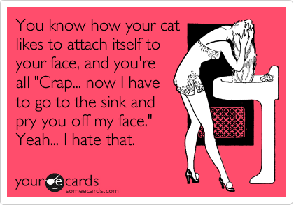 You know how your cat
likes to attach itself to
your face, and you're
all "Crap... now I have
to go to the sink and
pry you off my face."
Yeah... I hate that.