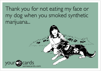 Thank you for not eating my face or my dog when you smoked synthetic marijuana...