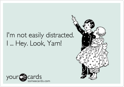 


I'm not easily distracted. 
I ... Hey. Look, Yarn!