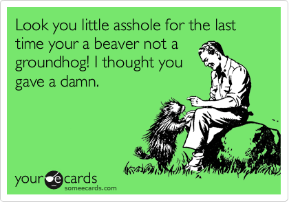 Look you little asshole for the last         
time your a beaver not a 
groundhog! I thought you 
gave a damn.