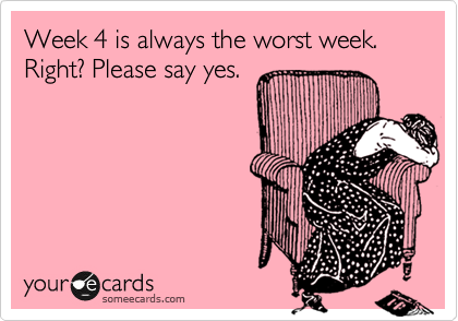 Week 4 is always the worst week.
Right? Please say yes.