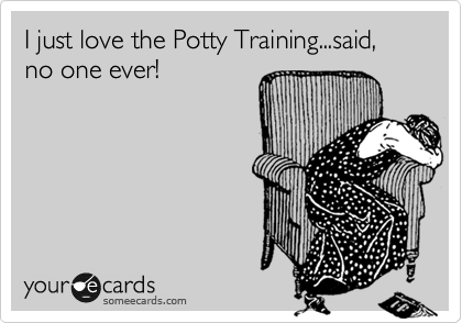 I just love the Potty Training...said, no one ever!