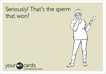 Seriously! That's the sperm
that won?