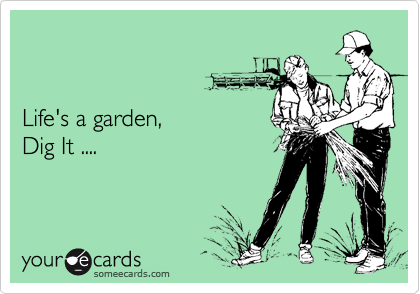 


Life's a garden,
Dig It ....
