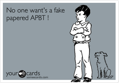 No one want's a fake
papered APBT !