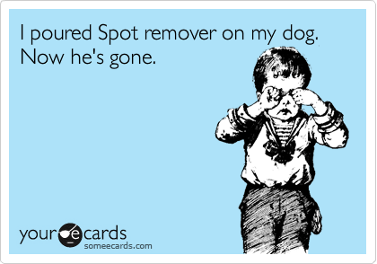 I poured Spot remover on my dog. Now he's gone.