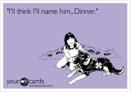 "I'll think I'll name him...Dinner."