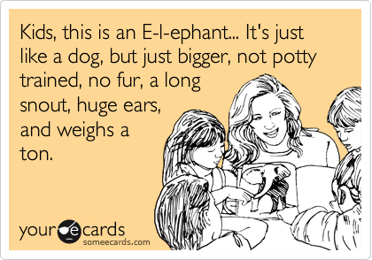 Kids, this is an E-l-ephant... It's just like a dog, but just bigger, not potty trained, no fur, a long
snout, huge ears,
and weighs a
ton.