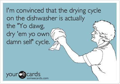I'm convinced that the drying cycle on the dishwasher is actually
the "Yo dawg,
dry 'em yo own
damn self" cycle. 