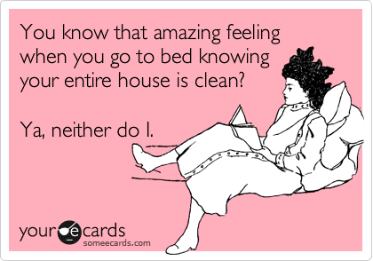 You know that amazing feeling when you go to bed knowing
your entire house is clean? 

Ya, neither do I.