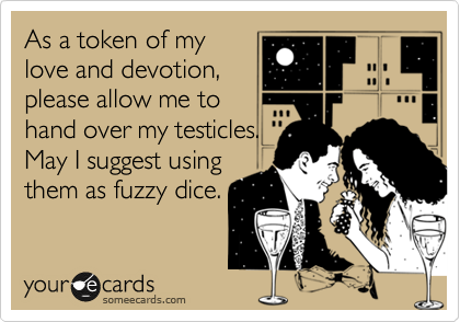 As a token of my
love and devotion,
please allow me to
hand over my testicles.
May I suggest using 
them as fuzzy dice.