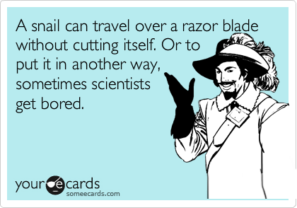 A snail can travel over a razor blade without cutting itself. Or to
put it in another way,
sometimes scientists
get bored.