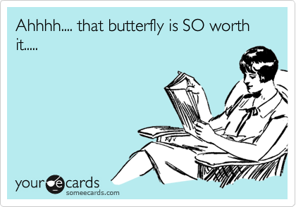 Ahhhh.... that butterfly is SO worth it.....