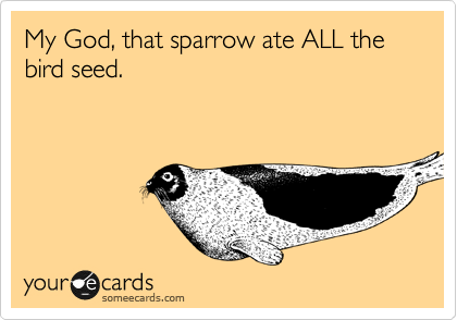 My God, that sparrow ate ALL the bird seed.