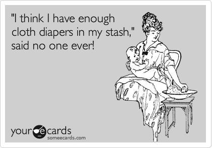 "I think I have enough
cloth diapers in my stash,"
said no one ever!