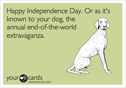 Happy Independence Day. Or as it's known to your dog, the
annual end-of-the-world
extravaganza.