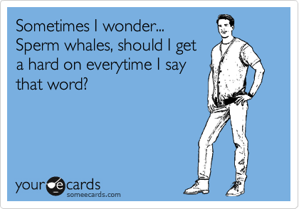 Sometimes I wonder...
Sperm whales, should I get
a hard on everytime I say
that word?