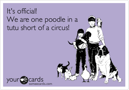 It's official!
We are one poodle in a
tutu short of a circus!