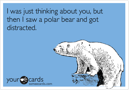 I was just thinking about you, but then I saw a polar bear and got distracted.