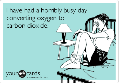 I have had a horribly busy day
converting oxygen to
carbon dioxide.