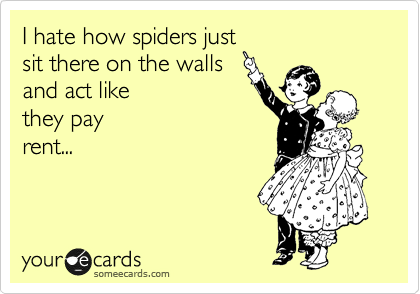I hate how spiders just 
sit there on the walls 
and act like 
they pay
rent...